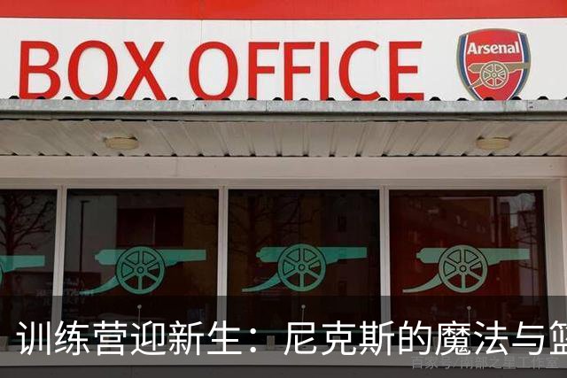 训练营迎新生：尼克斯的魔法与篮球新秀的冒险
